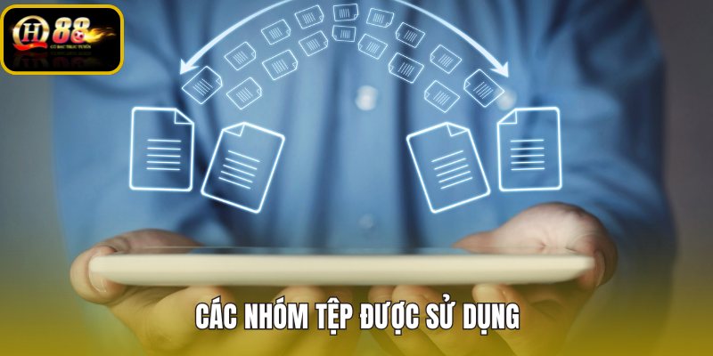cac-nhom-tep-duoc-su-dung