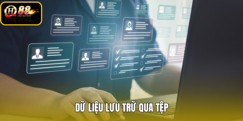 du-lieu-luu-tru-qua-tep