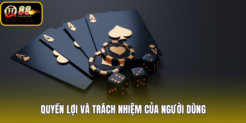quyen-loi-va-trach-nhiem-cua-nguoi-dung quyen-loi-va-trach-nhiem-cua-nguoi-dung